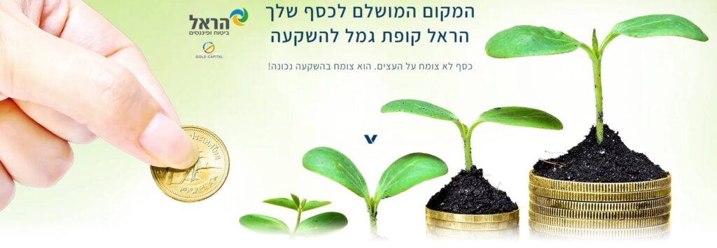 דוגמה אתר